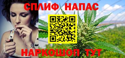 молекула духа Славянск-на-Кубани